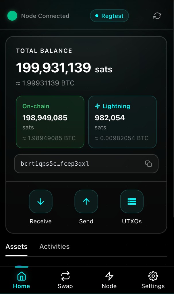 Stash Wallet home screen showing balances and wallet actions