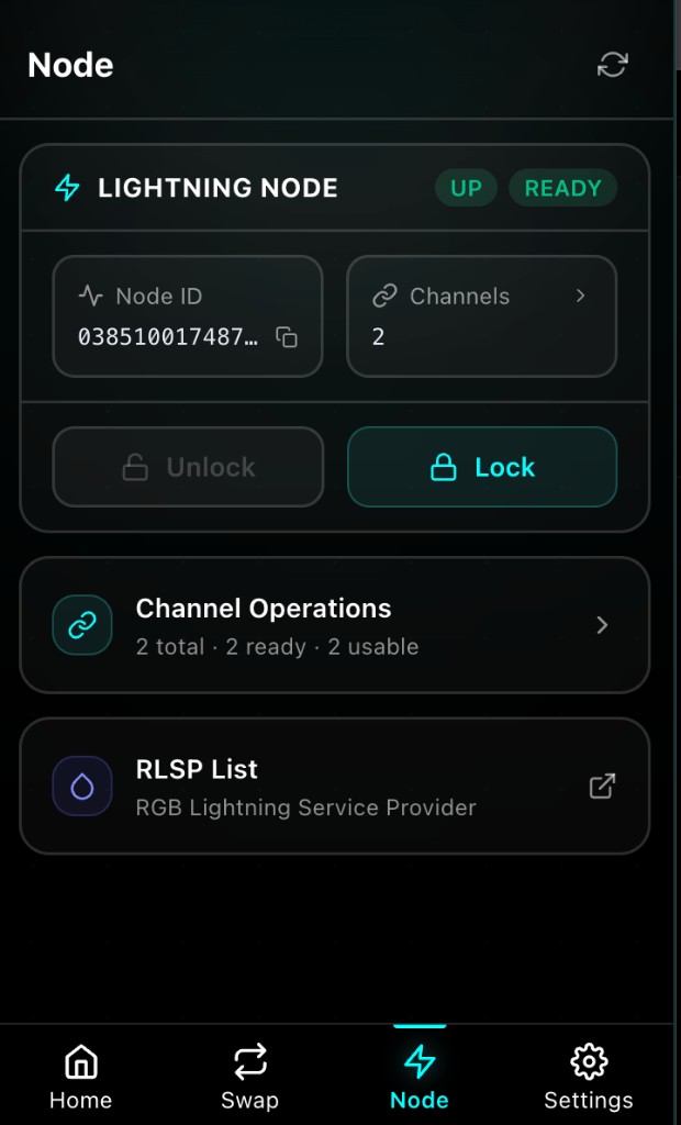 Stash Wallet Lightning node status and channel entry screen